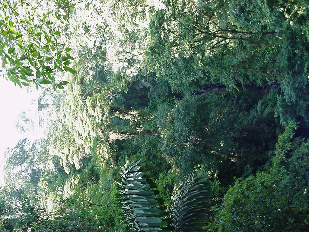 Costa Rica Project Photo